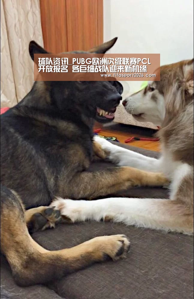 世界杯赛程